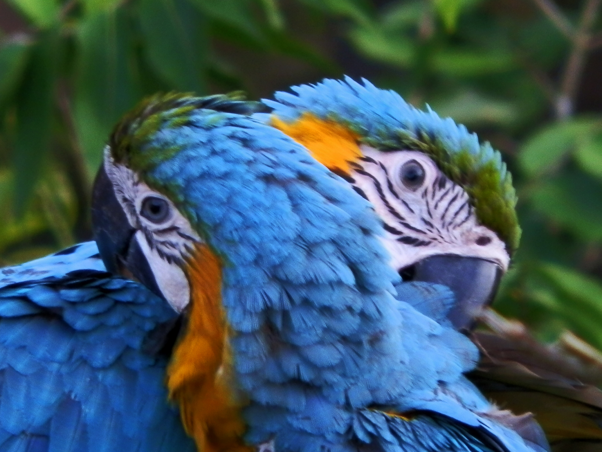 Amazon tour, Amazonas es un destino de ensueño en todos