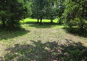 20250720_125423.jpg