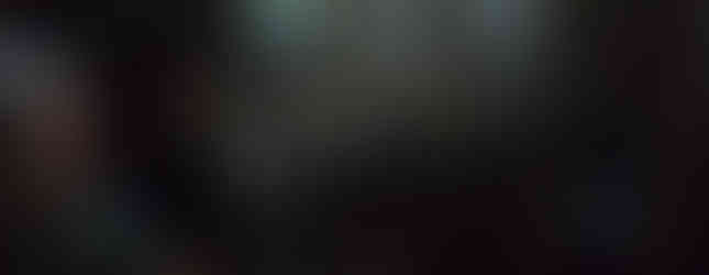 Nel bosco di magnolie