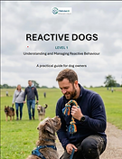Reactive dogs book