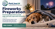 fireworks preparation free course