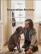 separation anxiety book