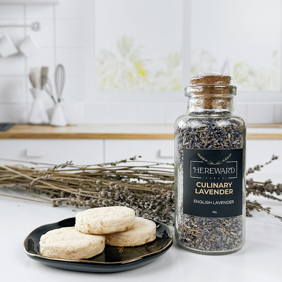 Thumbnail: Hereward Farms Culinary Lavender