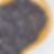 Hereward Farms Culinary Lavender