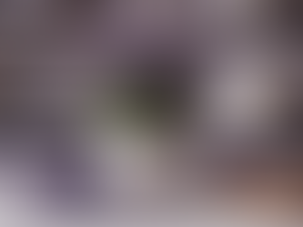 Transform Your Space with Lavender