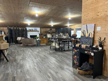 Hereward Farms Lavender Lounge + Boutique