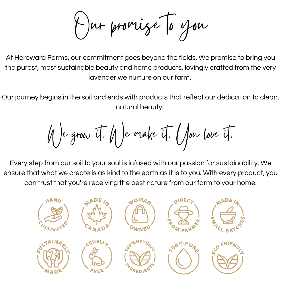 Thumbnail: Our Promise to You
