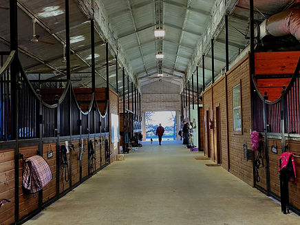 horselife.jpeg