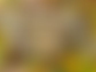 Dans quels pays la truffe est-elle collectée ?