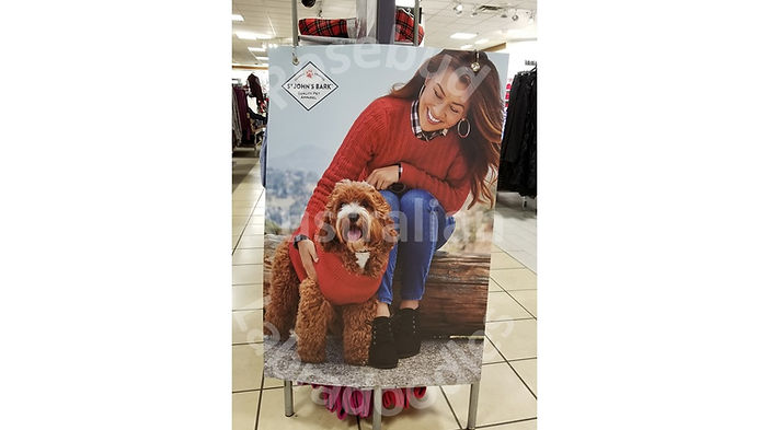 Caroline JC Penny Advertisement(1).jpg