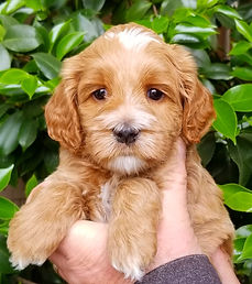 20250825_074505 (1).jpg