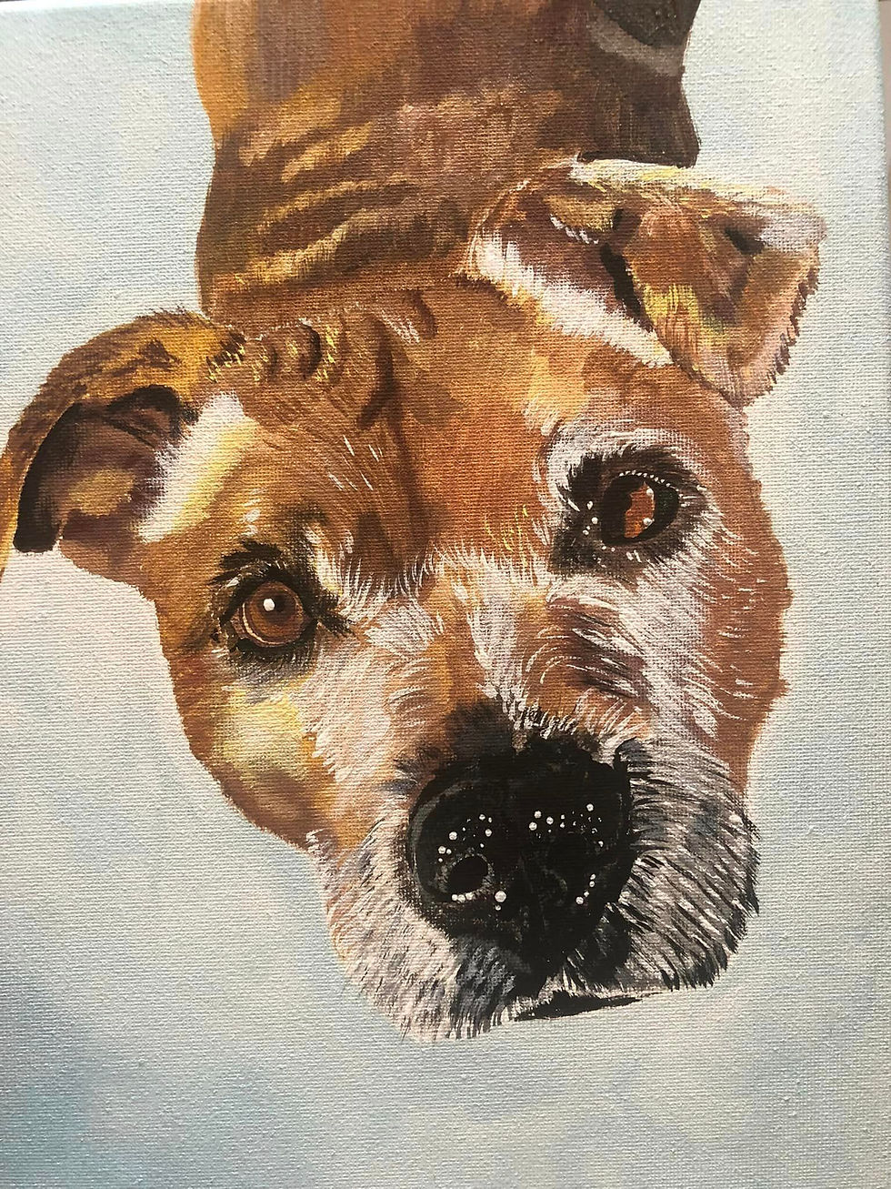 Thumbnail: Puppy Portrait