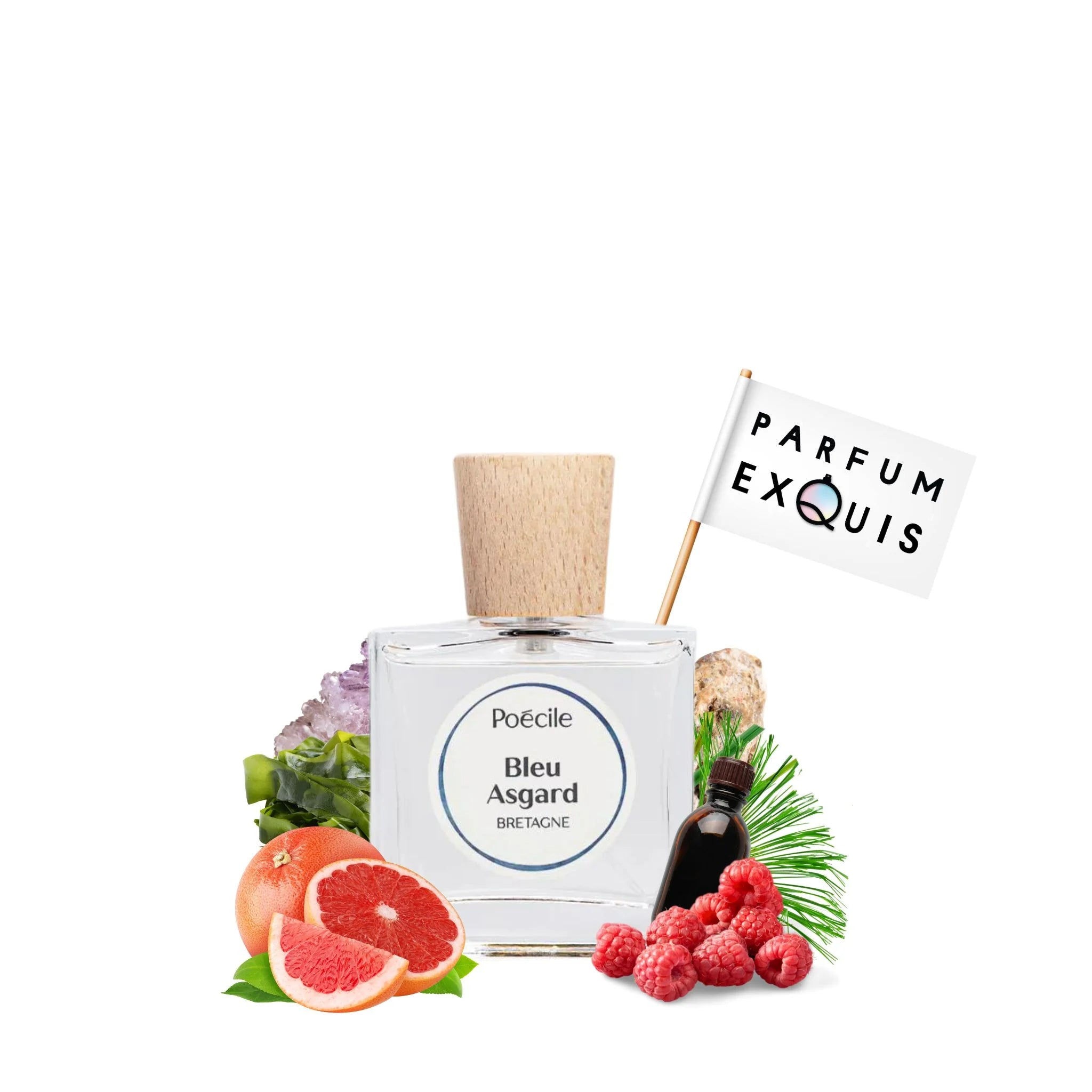 Poécile Bleu Asgard