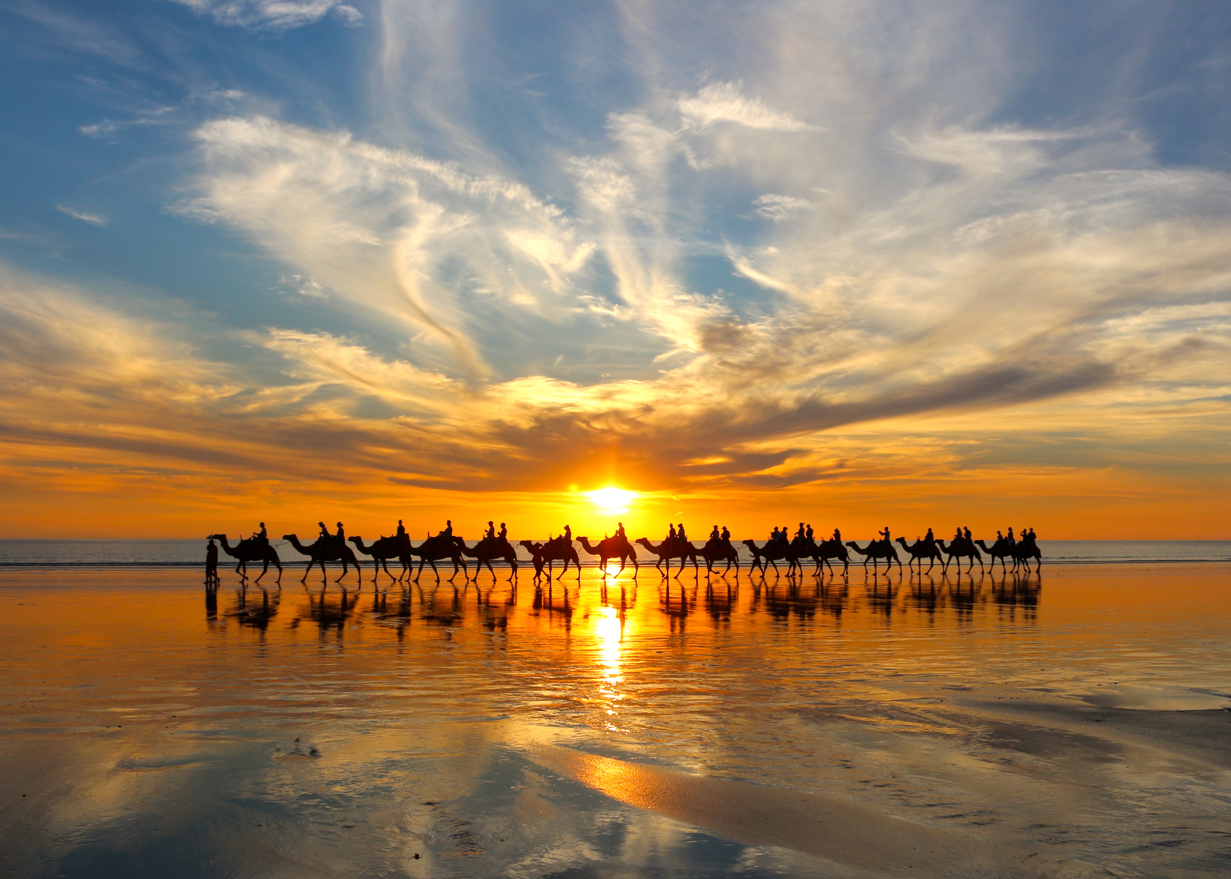 Red Sun Camels | Broome Camel Rides, Cable Beach FREE ...