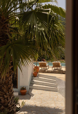 casa de cura - edit 2-1.jpg