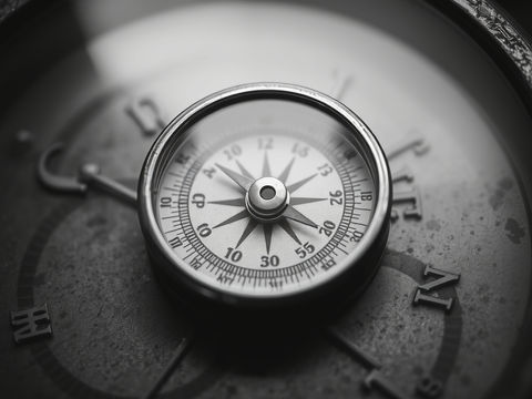 Pain is your compass