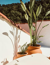 BH4A9033_v1_lowres copy.jpg