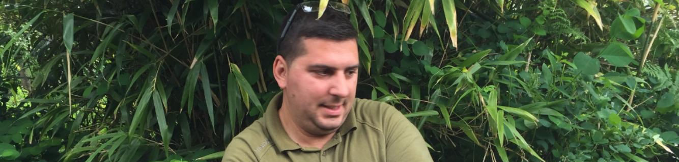 Large catfish in Broxbourne Hertfordshire England 