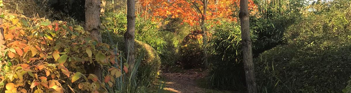 Beautiful Pretty carp and catfish fishing lake in Broxbourne Hertfordshire England 