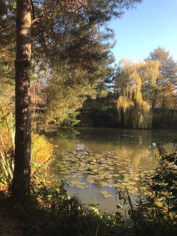 2859cc1f-0cbc-4f9f-bfa9-6d0c3ab50382