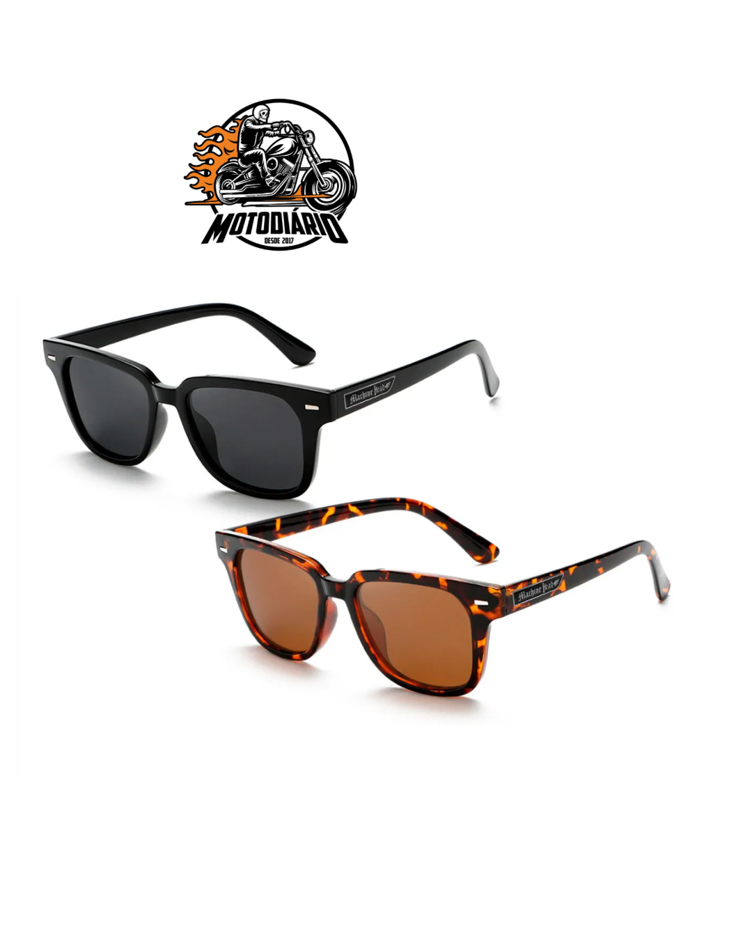 Óculos de Sol Dylan