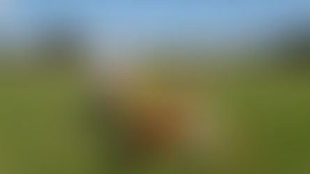 1er vol Futura 2.5m Tomahawk de Jérôme