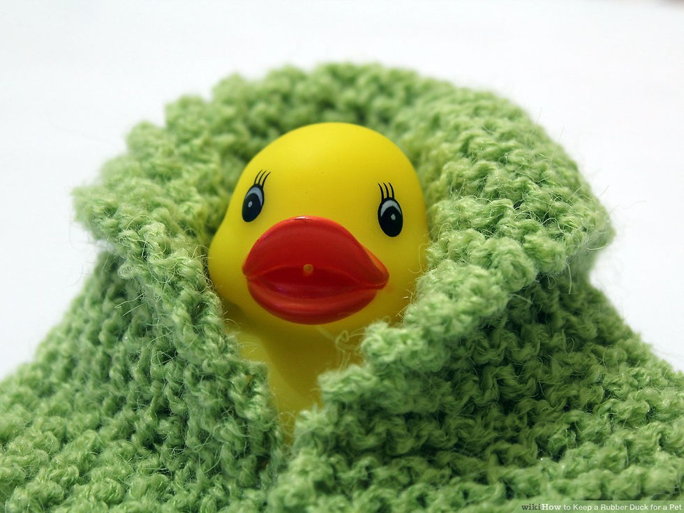 aid2155234-v4-1200px-Keep-a-Rubber-Duck-