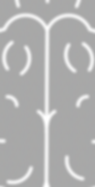 ADHD Connections Brain