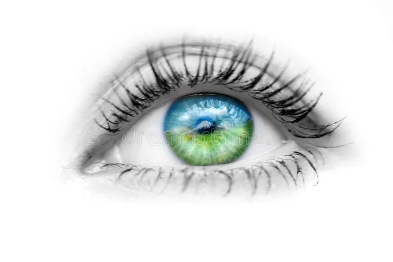 Stage de Qi Gong des Yeux