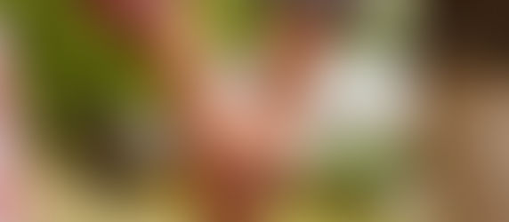 Blog 4. Als het vanbinnen pijn blijft doen