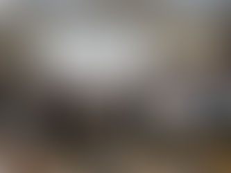 ProGrin: An Educational Meeting