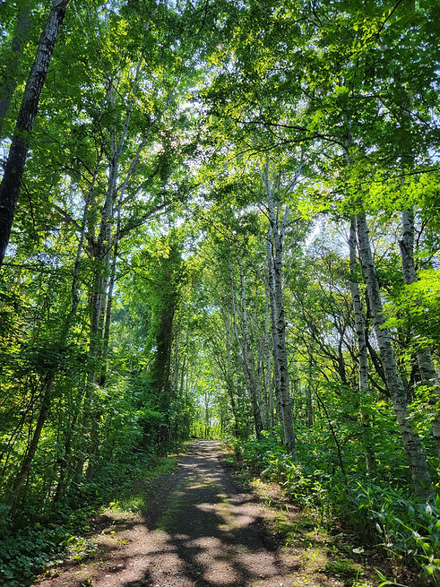 20220707_152933.jpg