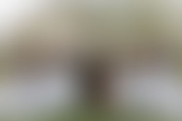 Nikita & Bryan - Edmonton Fusion Hindu Wedding - Mirage Banquet Hall Ceremony & Reception