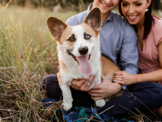 St Albert Engagement Session - Alberta Photographer