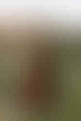 couples portrait of a hindu fusion wedding party in Edmonton park called Rainbow Valley