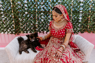 a bride and her dog on a wedding day