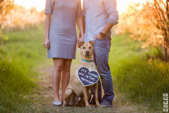 Nature Sanctuary Engagement Session