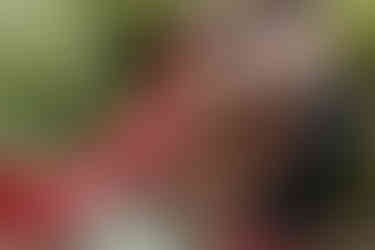 couples portrait of a hindu fusion couple at an Edmonton park called Rainbow Valley