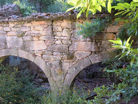 O meu sitio abandonado.