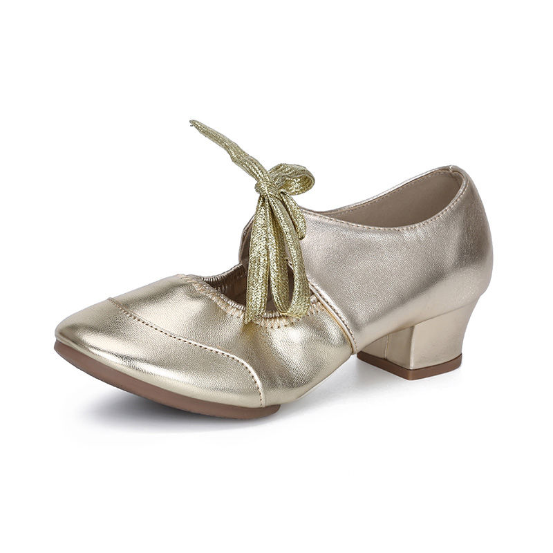 Adult Professional Dance Shoes Women Ballroom Latin Dance Shoes High Heeled Ladi