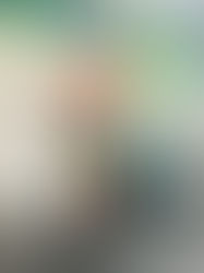 Monday, 29 December 2025