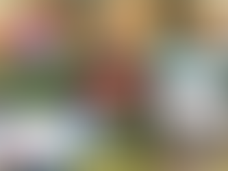 50 in Motion: Celebrating Milestones Through Travel