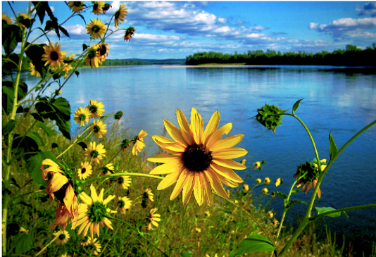 Screen Shot 2025-10-28 at 4.16.34 PM.png