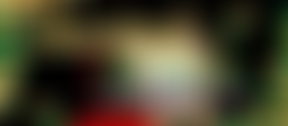 Anniversary Nightmare