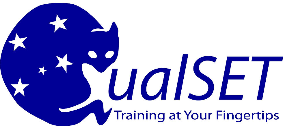 QualSET logo and text