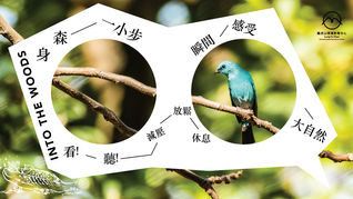 Connecting with Nature with a Picture!