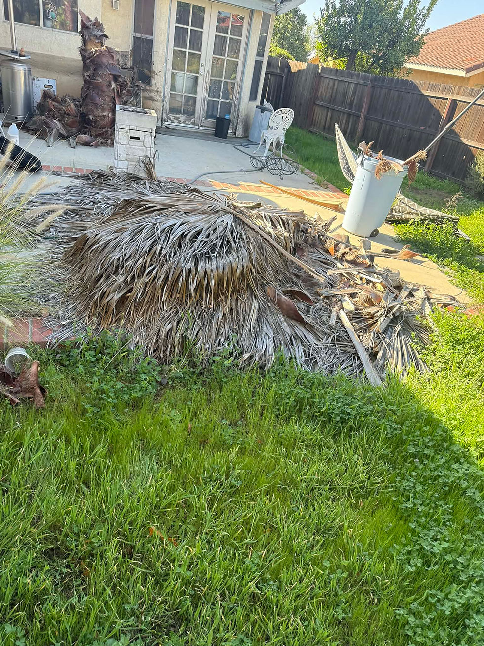 JUNK IT AND DUMP IT SERVICES