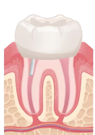 スクリーンショット 2025-04-12 122203_edited.png
