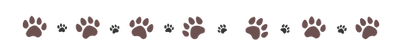 犬猫 アイコン.png