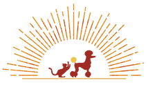 SUNNY_logo_yoko_png.png
